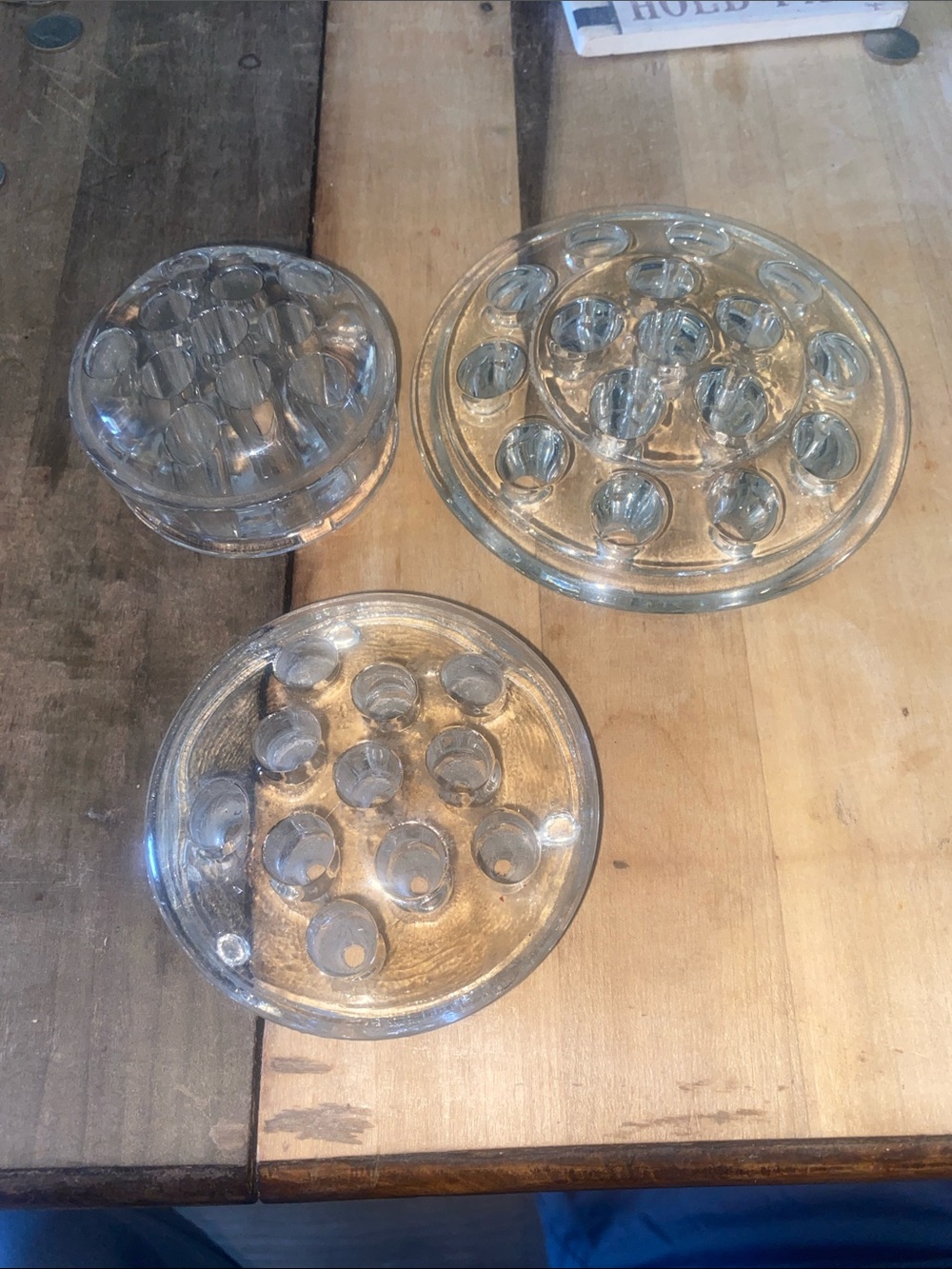 Clear Glass Flower Frog Set - Round Multi-Hole Pin Frogs